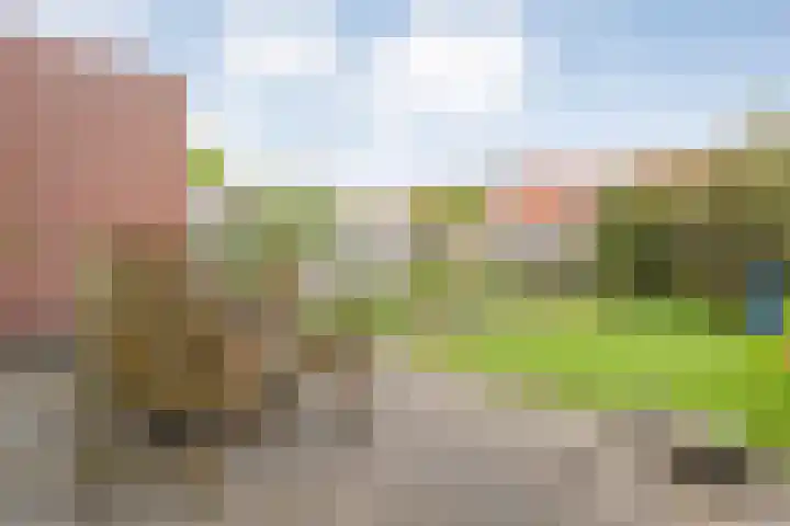 Haakmos 17 Zwolle thumbnail 27