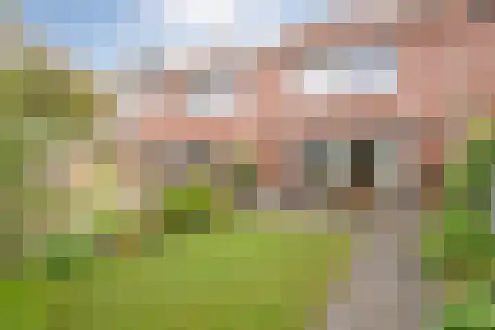 Haakmos 17 Zwolle thumbnail 28