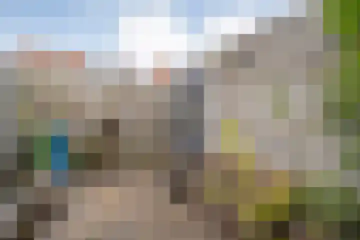 Haakmos 17 Zwolle thumbnail 29