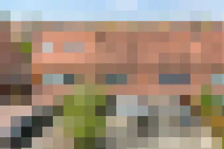 Haakmos 17 Zwolle thumbnail 30