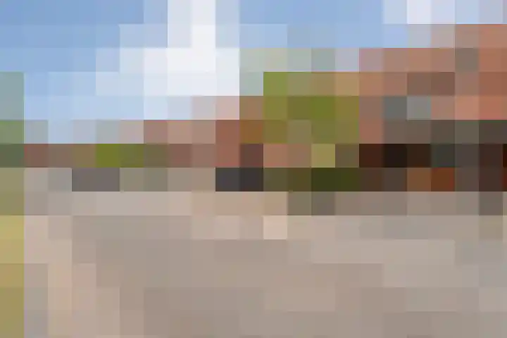 Haakmos 17 Zwolle thumbnail 31