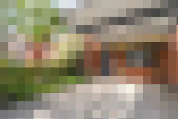 Haakmos 17 Zwolle thumbnail 32