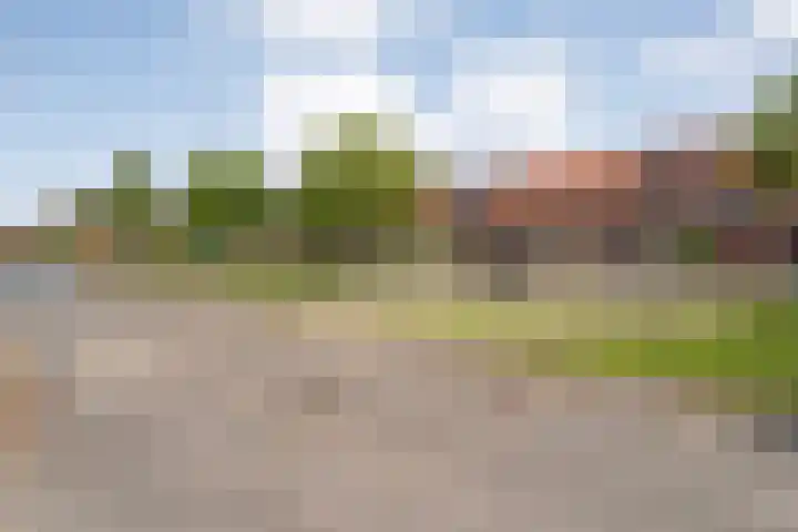 Haakmos 17 Zwolle thumbnail 33