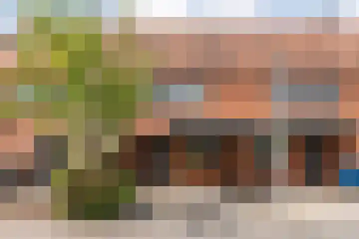 Haakmos 17 Zwolle thumbnail 36