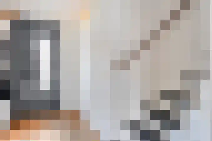 Haakmos 17 Zwolle thumbnail 4