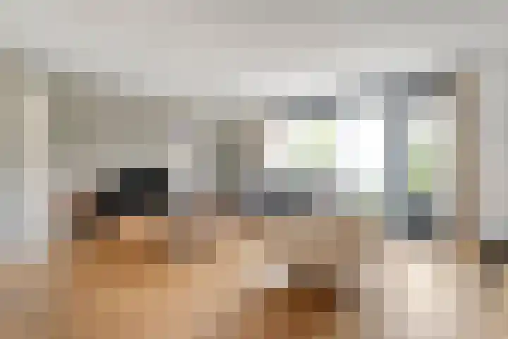 Haakmos 17 Zwolle thumbnail 5