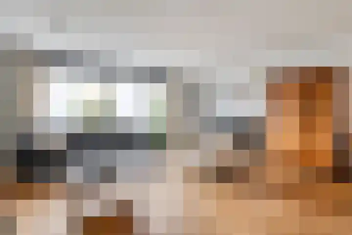 Haakmos 17 Zwolle thumbnail 8