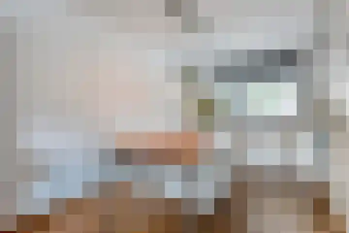 Haakmos 17 Zwolle thumbnail 9