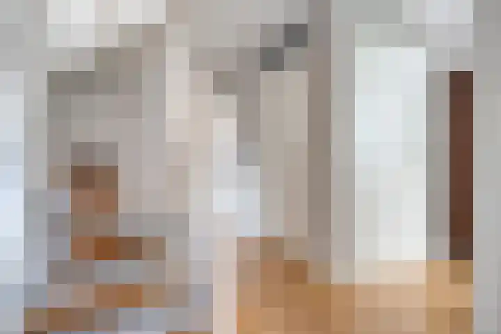 Haakmos 2 Zwolle thumbnail 10