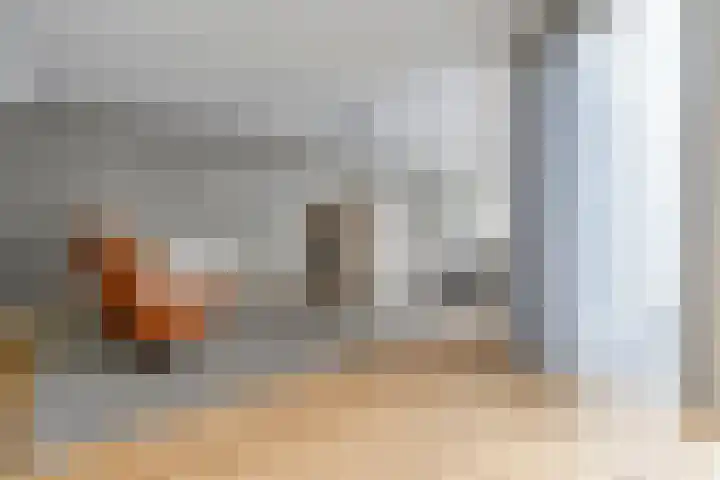 Haakmos 2 Zwolle thumbnail 14