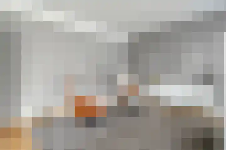 Haakmos 2 Zwolle thumbnail 15