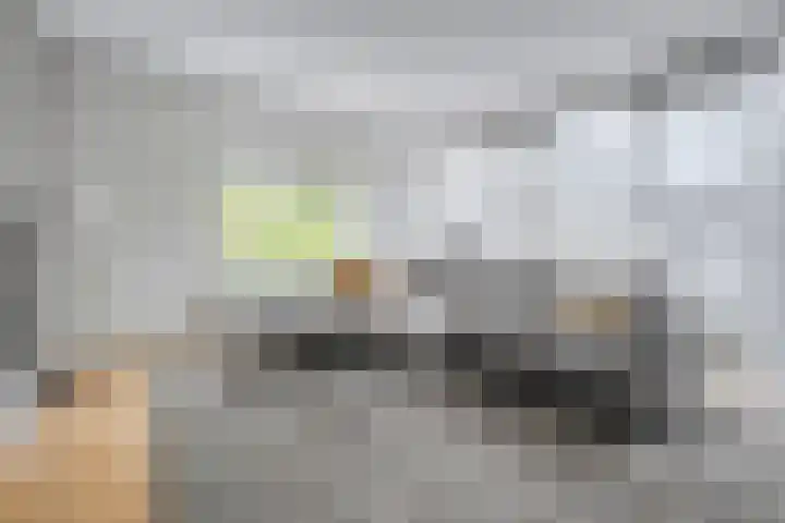 Haakmos 2 Zwolle thumbnail 17