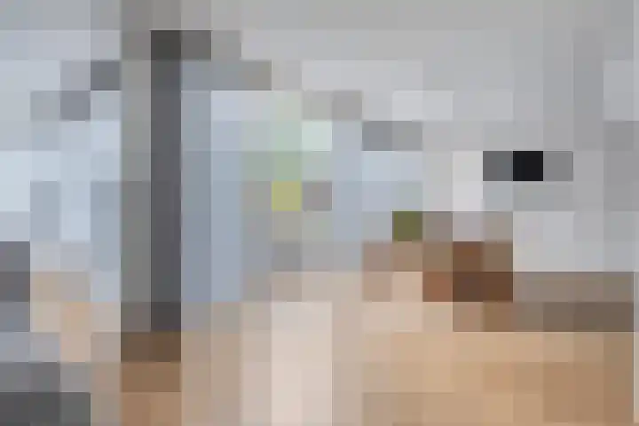 Haakmos 2 Zwolle thumbnail 18