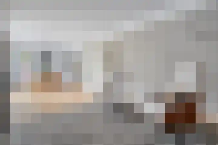 Haakmos 2 Zwolle thumbnail 19