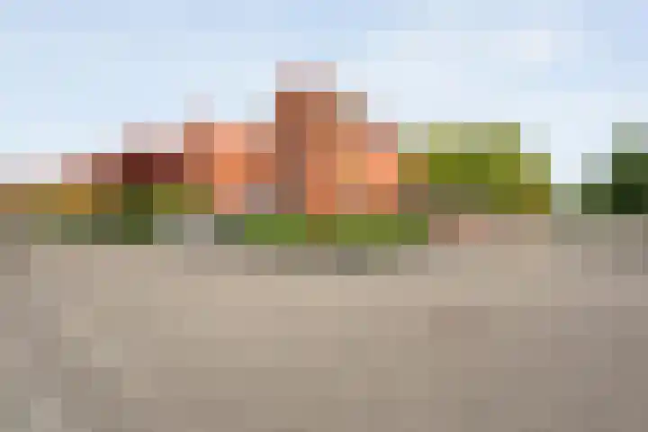 Haakmos 2 Zwolle foto 2