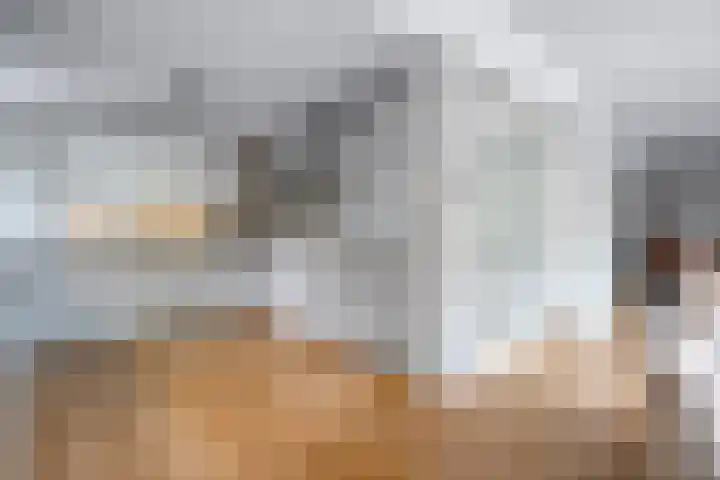 Haakmos 2 Zwolle thumbnail 20
