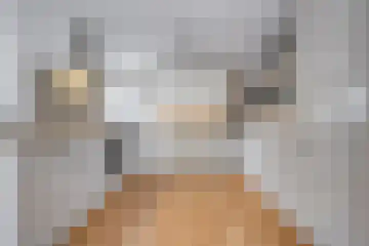 Haakmos 2 Zwolle thumbnail 21