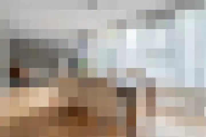 Haakmos 2 Zwolle thumbnail 22