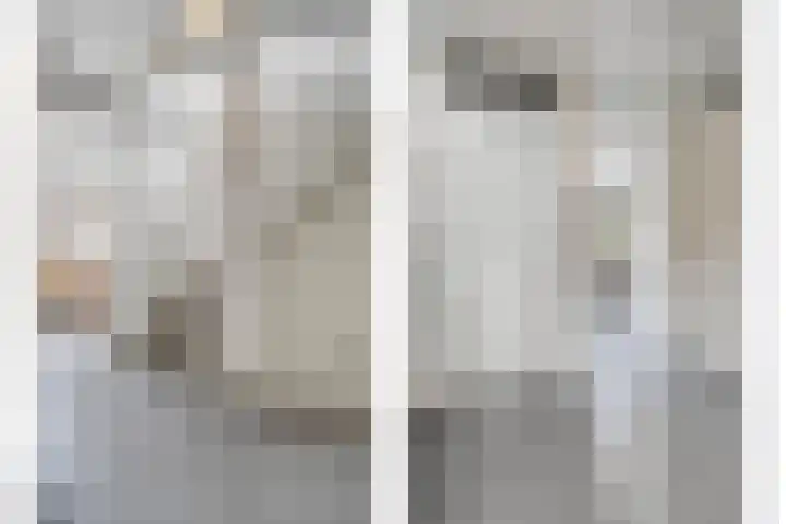 Haakmos 2 Zwolle thumbnail 25