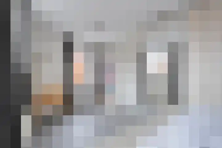 Haakmos 2 Zwolle thumbnail 27