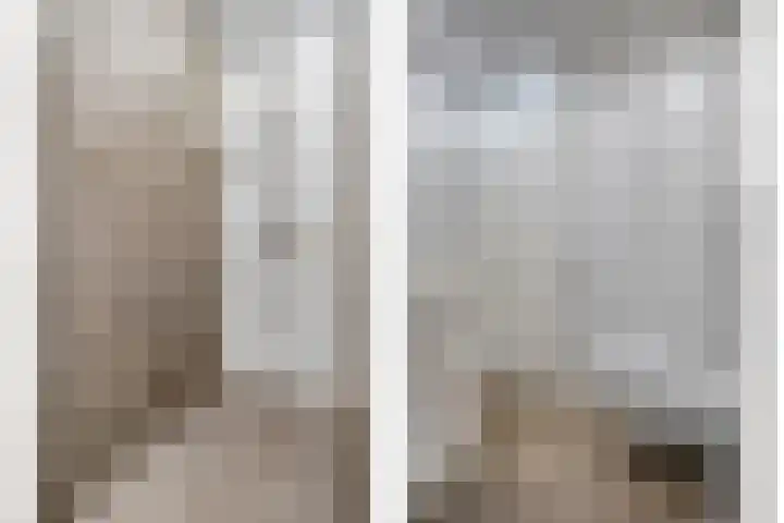 Haakmos 2 Zwolle thumbnail 30