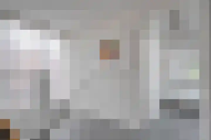 Haakmos 2 Zwolle thumbnail 31