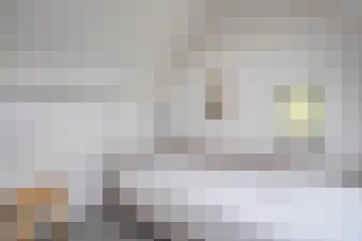 Haakmos 2 Zwolle thumbnail 33