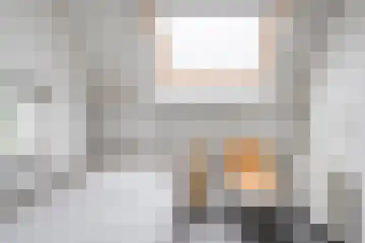 Haakmos 2 Zwolle thumbnail 34