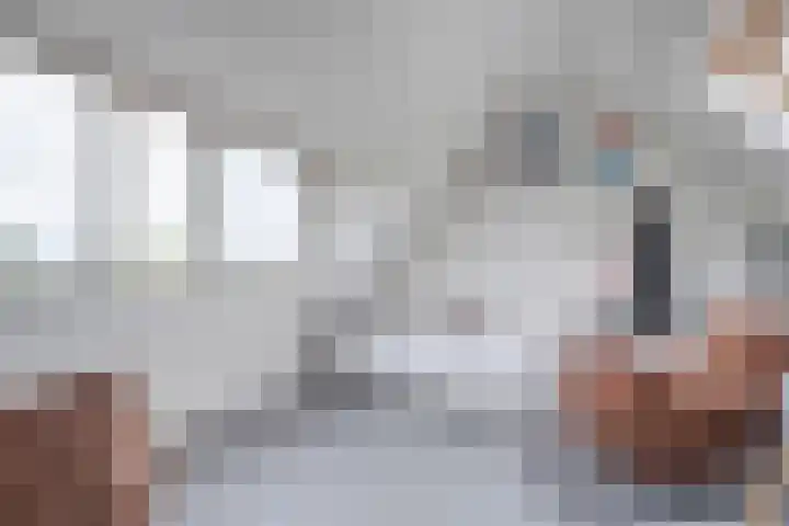 Haakmos 2 Zwolle thumbnail 36