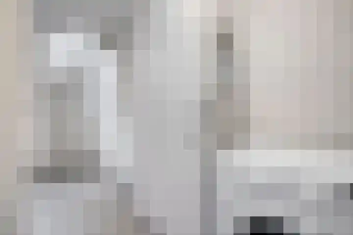 Haakmos 2 Zwolle thumbnail 37