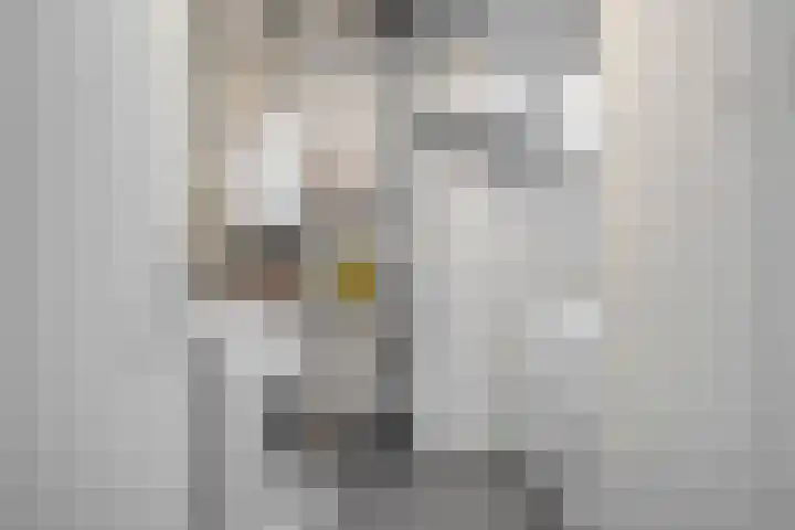 Haakmos 2 Zwolle thumbnail 38