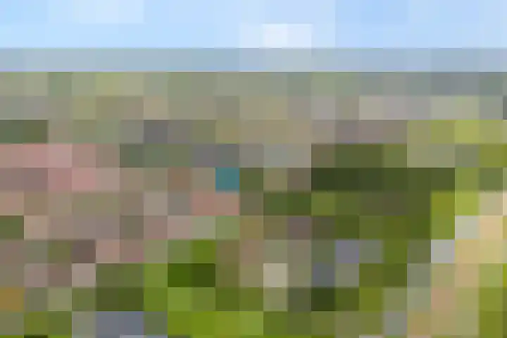 Haakmos 2 Zwolle thumbnail 4