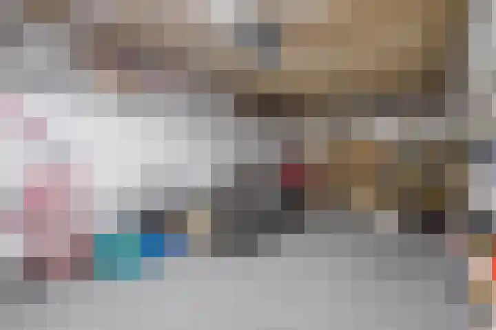 Haakmos 2 Zwolle thumbnail 40