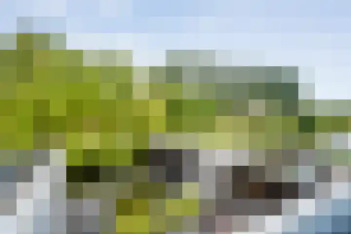 Haakmos 2 Zwolle thumbnail 41