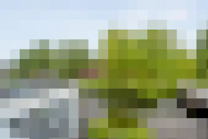 Haakmos 2 Zwolle thumbnail 42