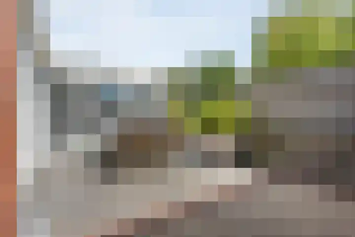 Haakmos 2 Zwolle thumbnail 43