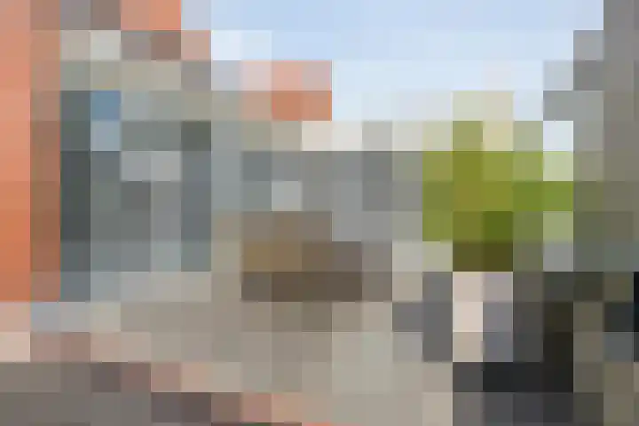 Haakmos 2 Zwolle thumbnail 44