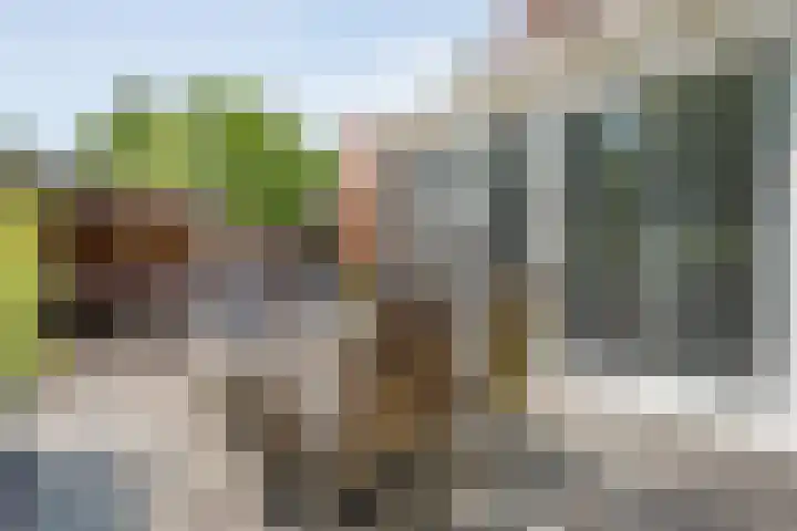 Haakmos 2 Zwolle thumbnail 45