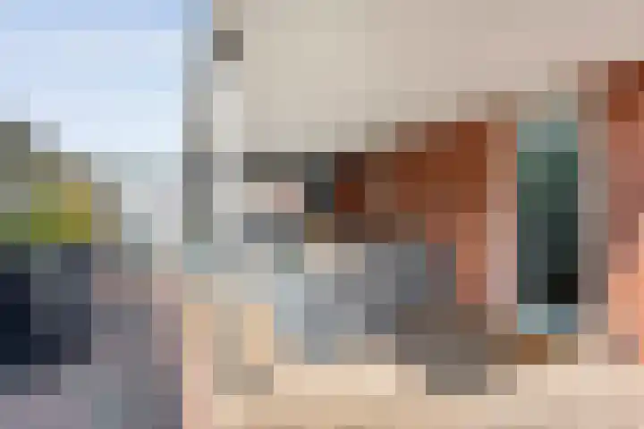 Haakmos 2 Zwolle thumbnail 46