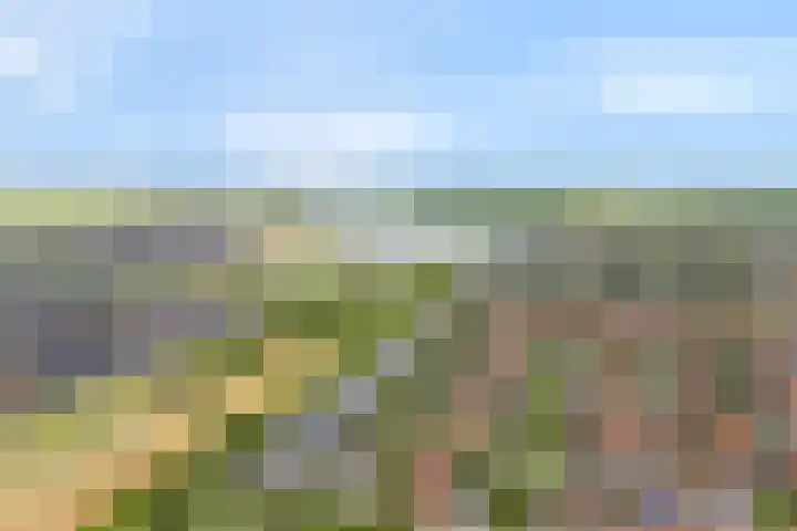Haakmos 2 Zwolle thumbnail 5