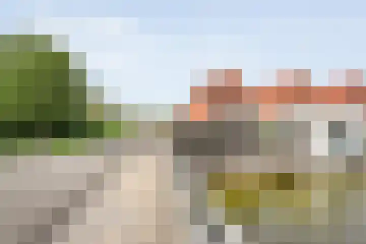 Haakmos 2 Zwolle thumbnail 51
