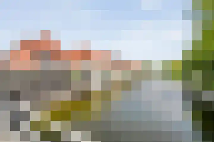 Haakmos 2 Zwolle thumbnail 52