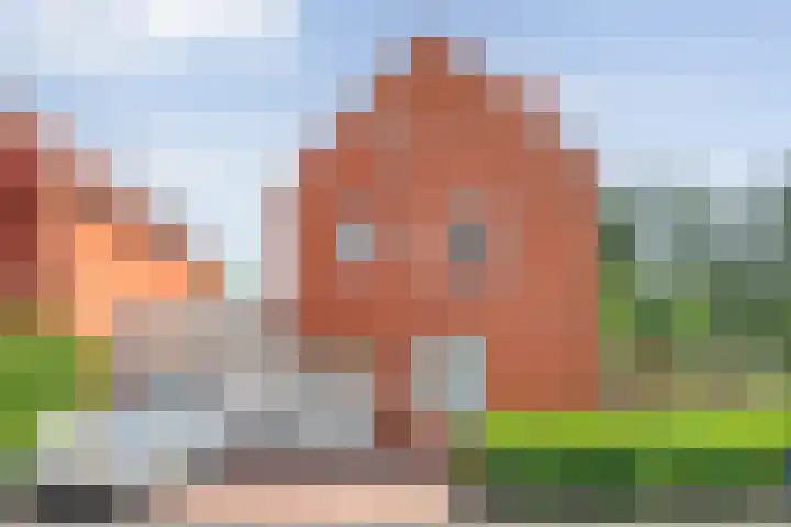 Haakmos 2 Zwolle thumbnail 6