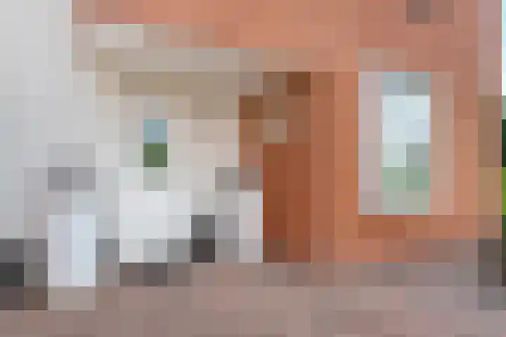 Haakmos 2 Zwolle thumbnail 7