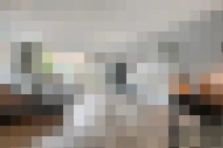Haakmos 24 Zwolle thumbnail 10