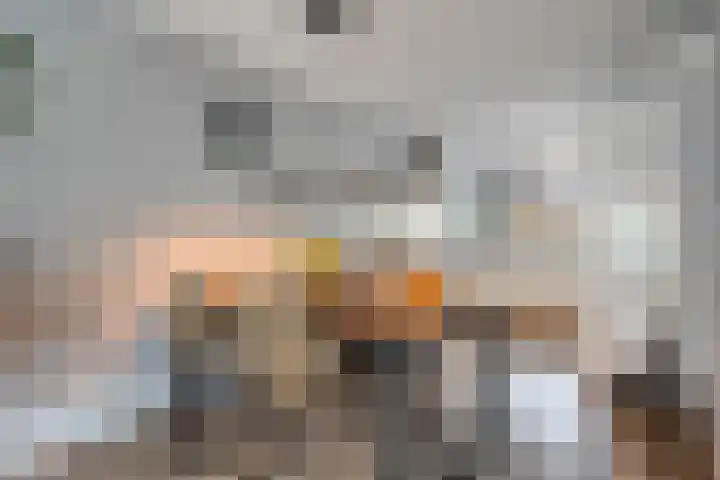 Haakmos 24 Zwolle thumbnail 11