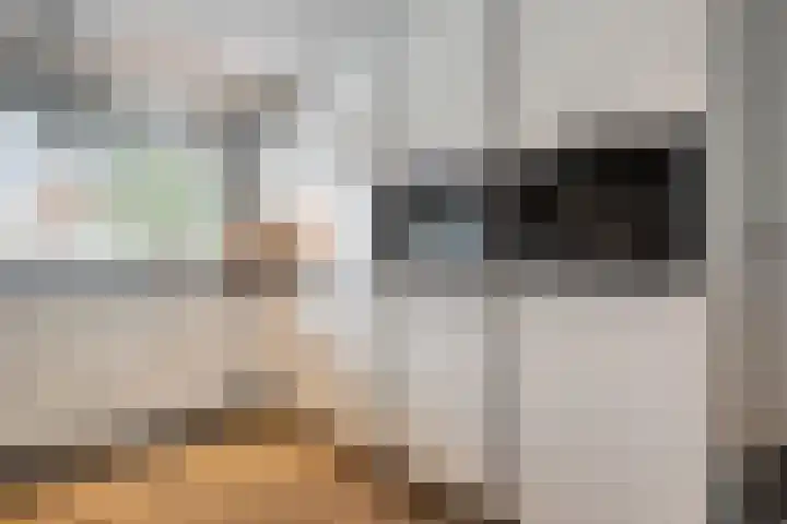 Haakmos 24 Zwolle thumbnail 13