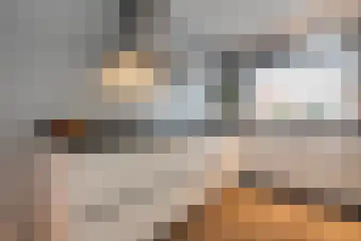 Haakmos 24 Zwolle thumbnail 14