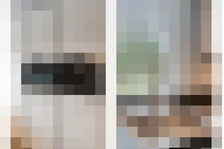 Haakmos 24 Zwolle thumbnail 15