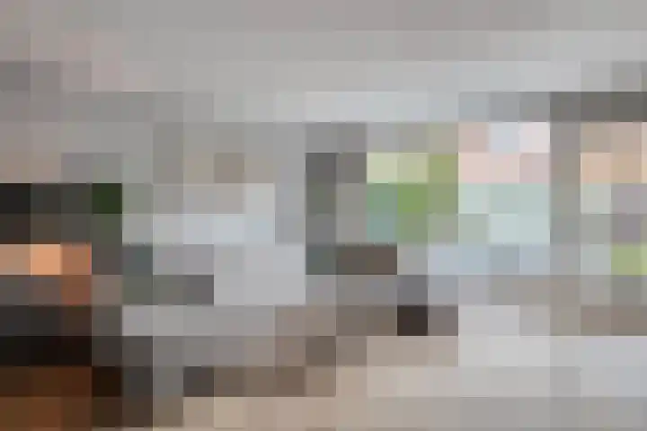 Haakmos 24 Zwolle thumbnail 16